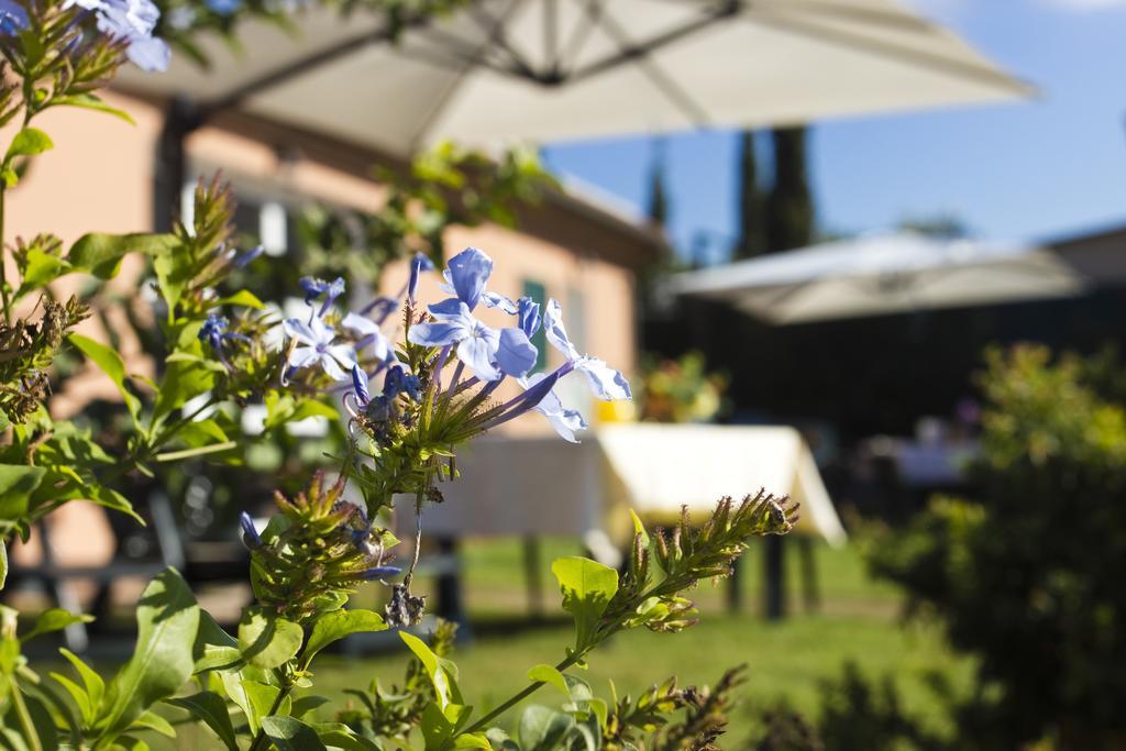 Agriturismo Ferruggini Больгері Екстер'єр фото